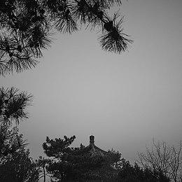 像素风RPG《传奇摔跤手》延期至8月22日发售